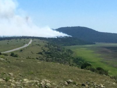 Camillo Fire 2015-06-18: Mormon Lake Vista
