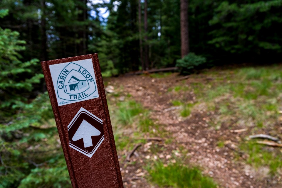 Barbershop Trail