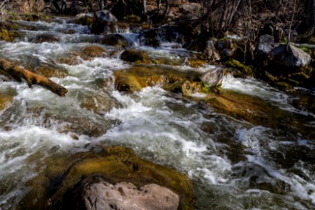 Homestead at Fossil Creek