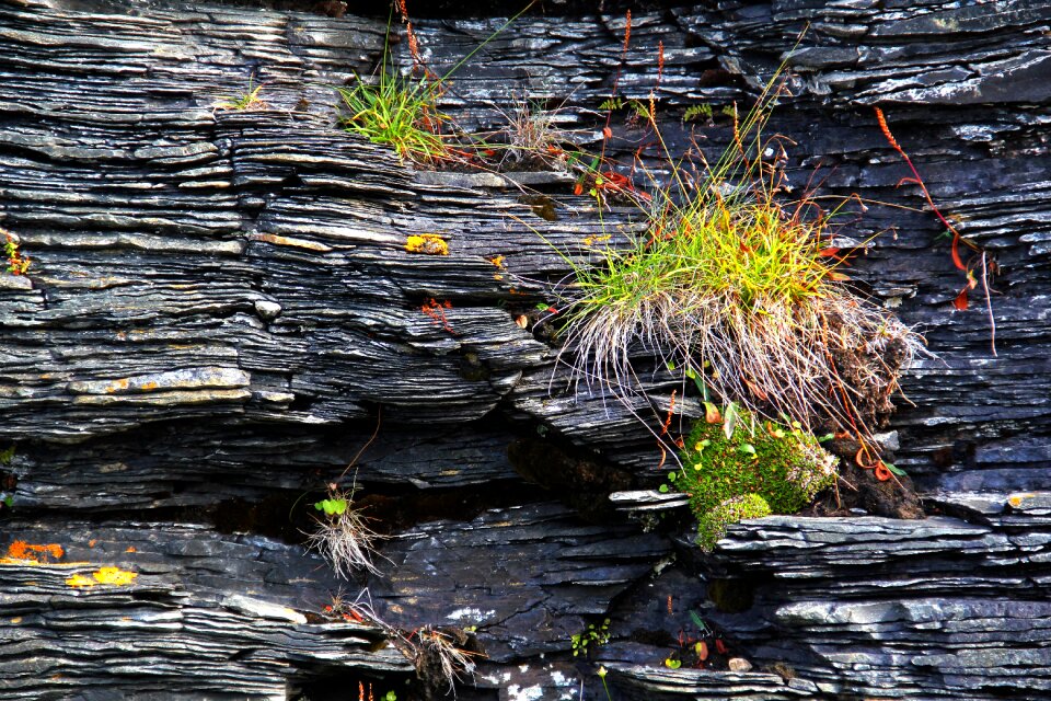 Nature landscape finmark