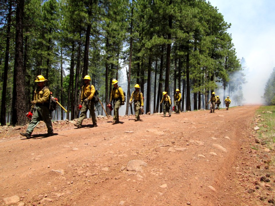 Camillo Fire 2015-06-22: Burnout Operations