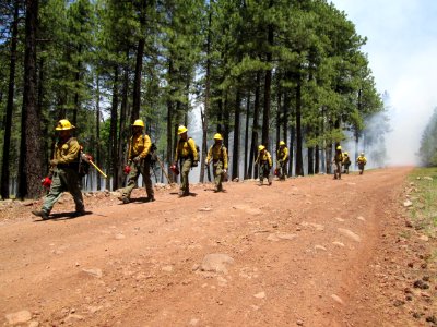 Camillo Fire 2015-06-22: Burnout Operations