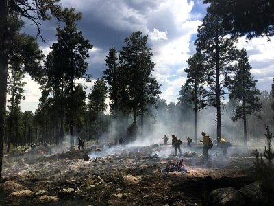 Freidlein Fire (June 19, 2017)