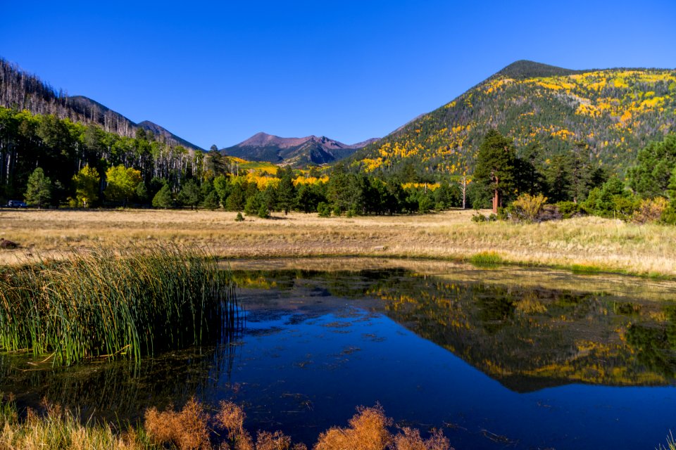 Lockett Meadow