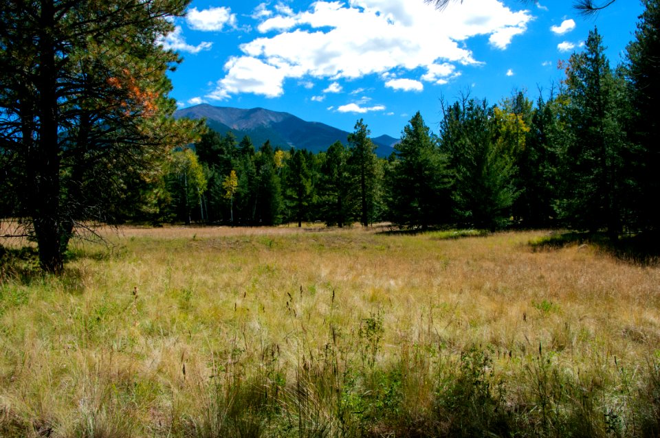 Bismarck Lake Trail