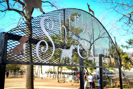 Shirlington Dog Park