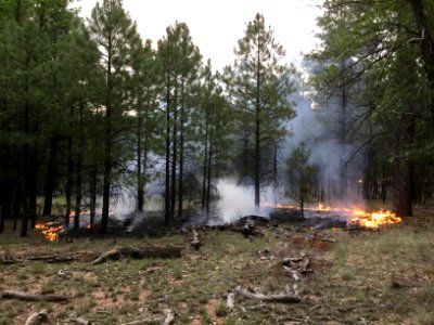 Eden Fire (July 29, 2016)