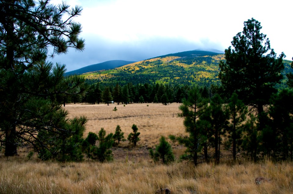 Around the Peaks Loop: FR 418