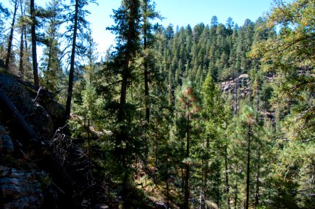 U-Bar Trail No. 28