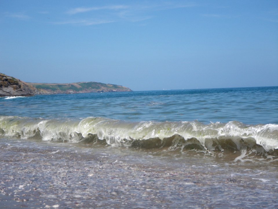 IMGP0985.JPG