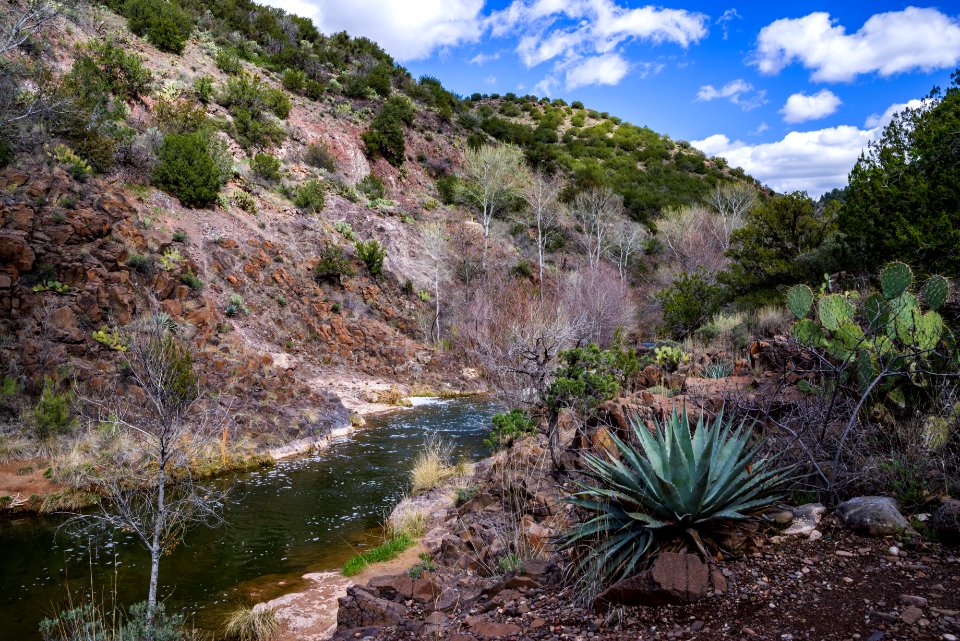 Tonto Bench at Fossil Creek