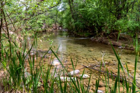 Purple Mountain on Fossil Creek
