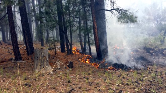 Horse Tank Managed Fire June 8, 2015