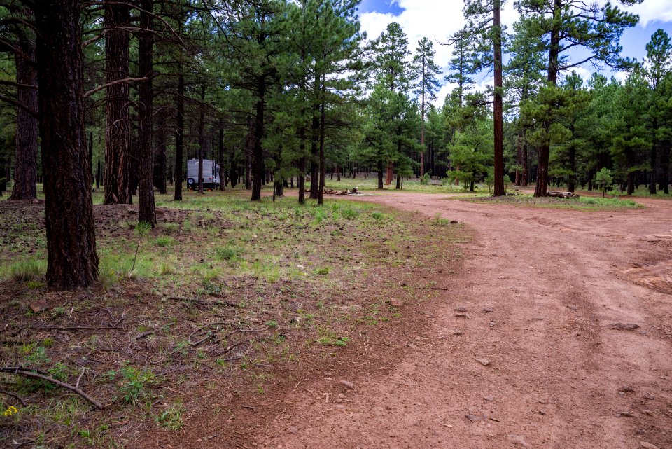 Wing Mountain Camping Area: FR 222