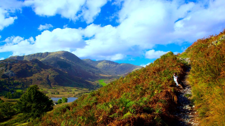 Langdale Pikes photo