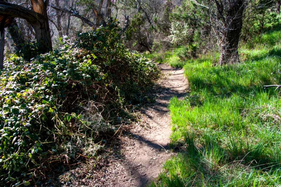 Fossil Springs Trail No. 18