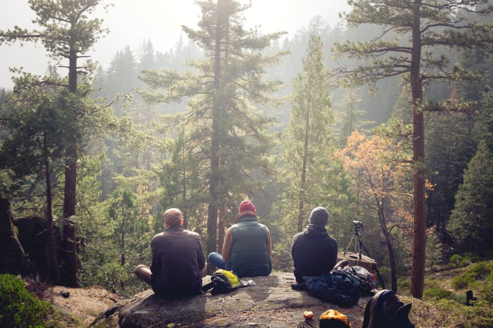 Trekking forest woods