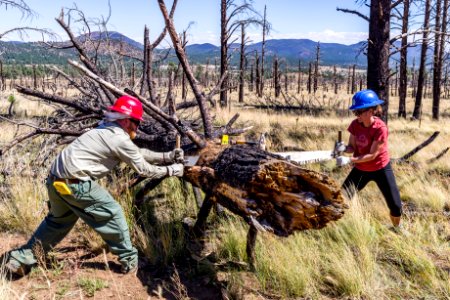 Deer Hill Trail: National Public Lands Day 2017