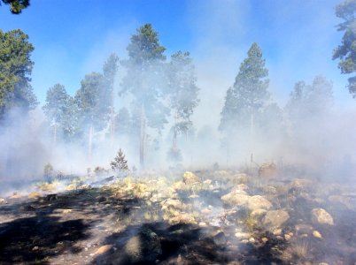 Freidlein Fire (June 19, 2017)