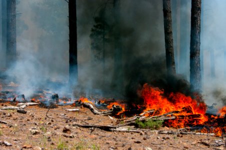 Camillo Fire 2015-06-24