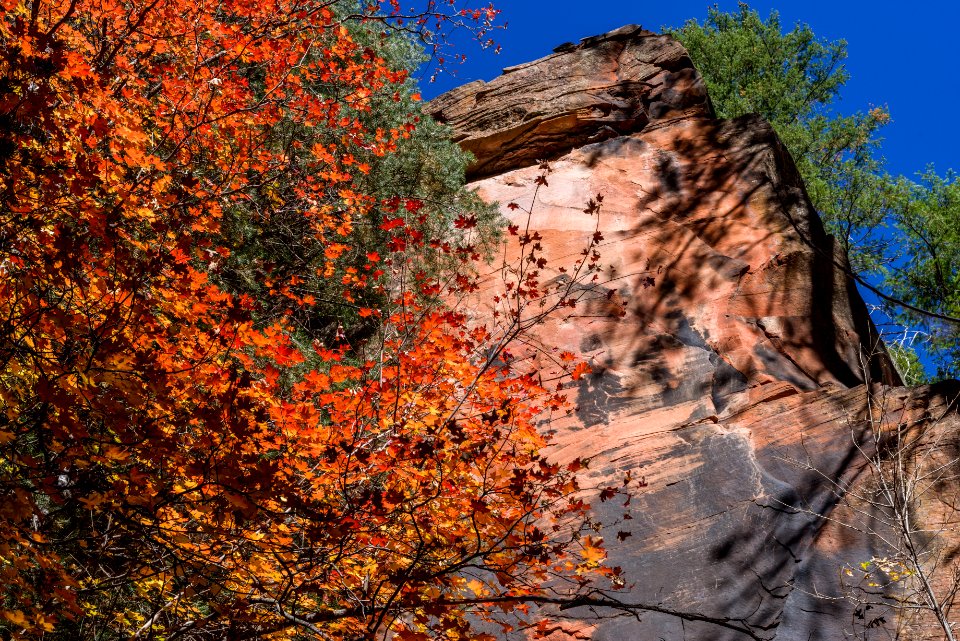 West Fork (October 24, 2017)