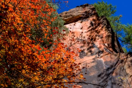 West Fork (October 24, 2017)