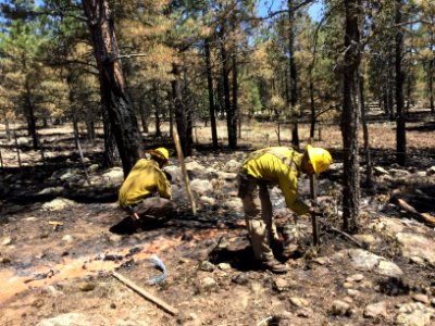 Jack Fire (June 15, 2016)