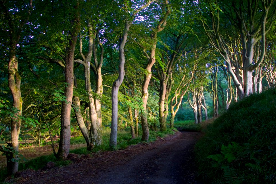Sunrise in Dunskey Glen