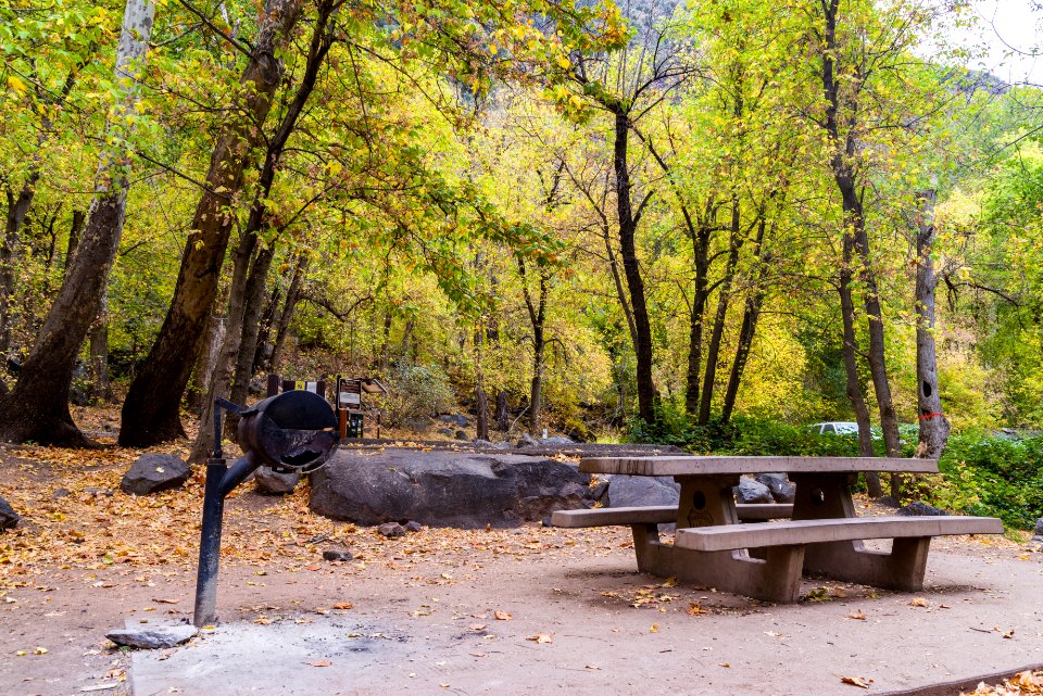 Banjo Bill Picnic Area (October 31, 2017)