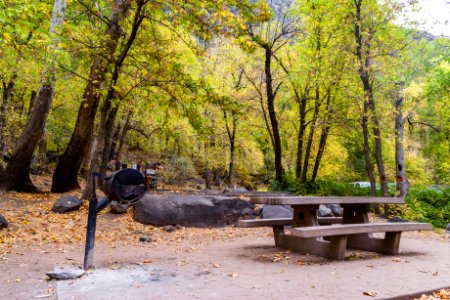 Banjo Bill Picnic Area (October 31, 2017)