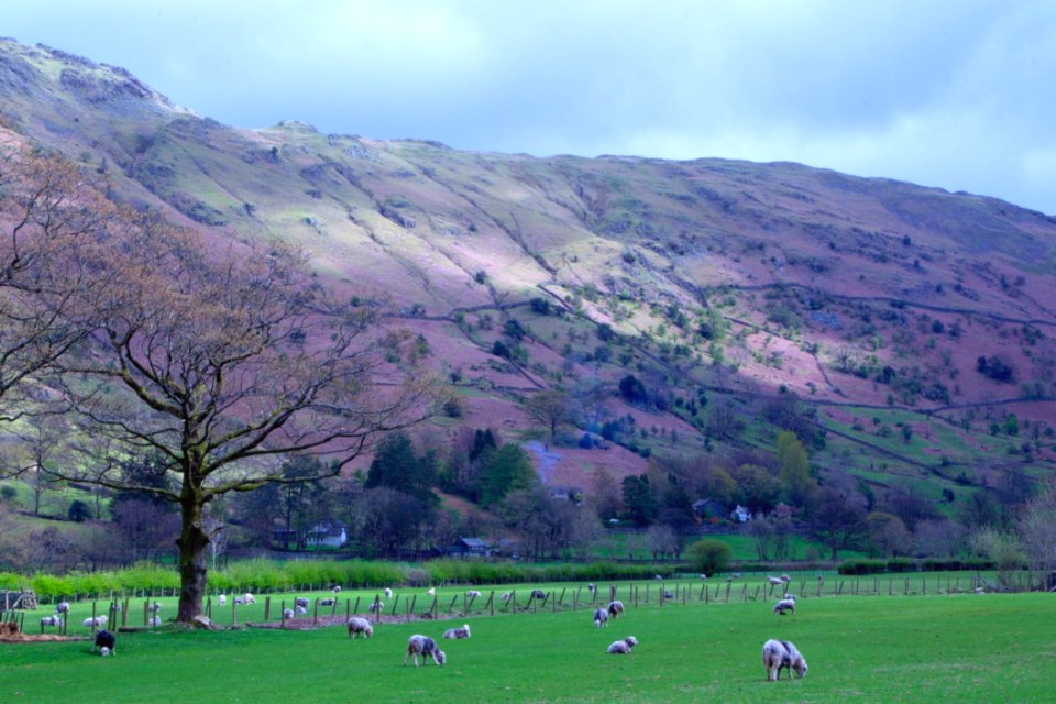 Great Langdale photo