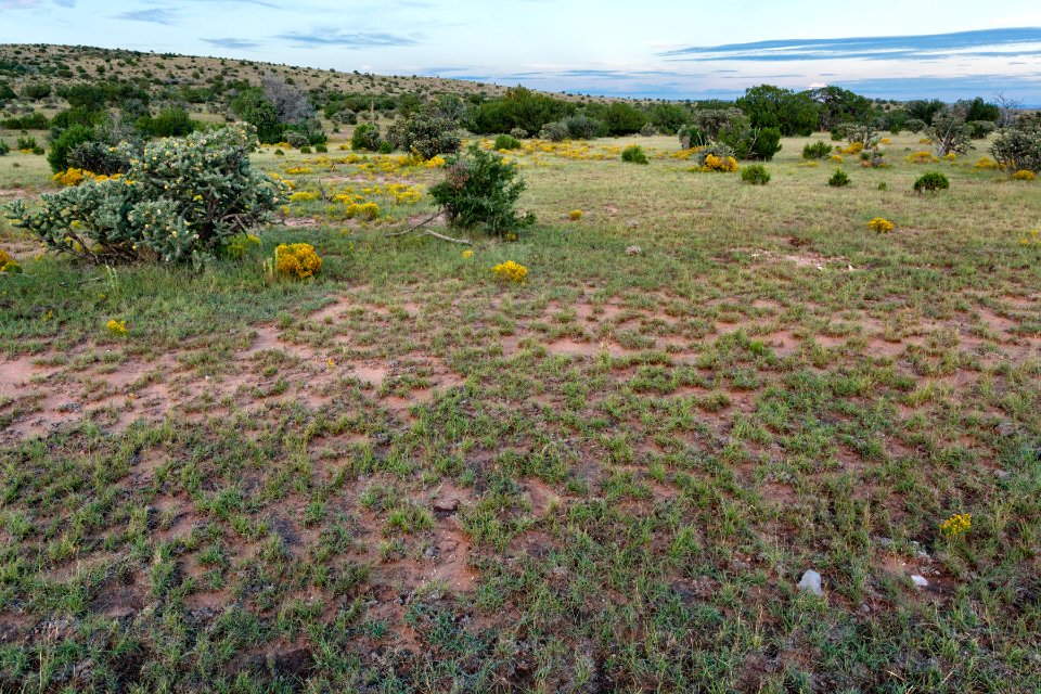 Southwest of Moccasin Draw