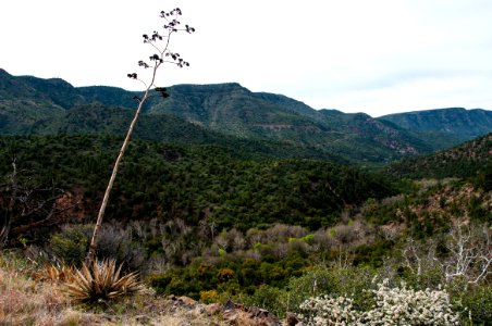 Flume Trail to Fossil Creek Dam
