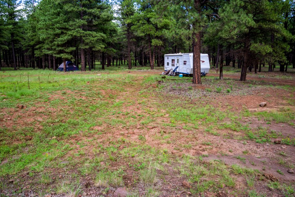 Wing Mountain Camping Area: FR 171