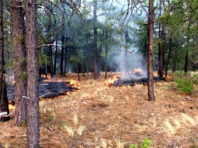 Jack Fire (June 4, 2016)