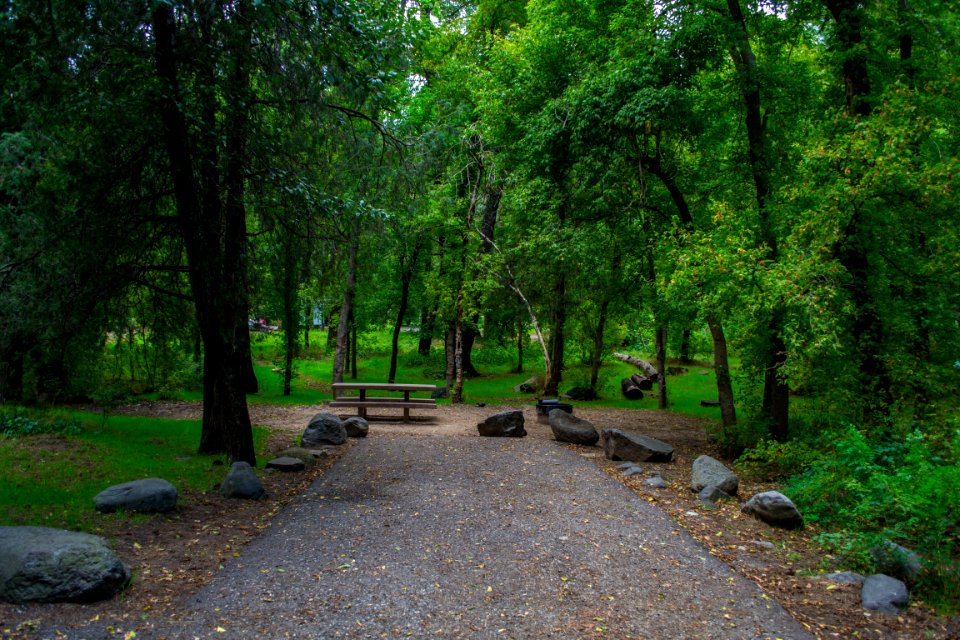 Cave Springs Campground