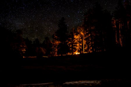 Lockett Meadow photo