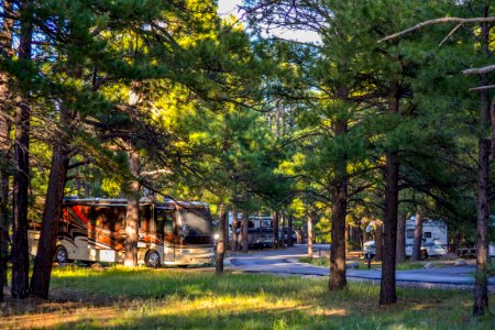 Pine Grove Campground