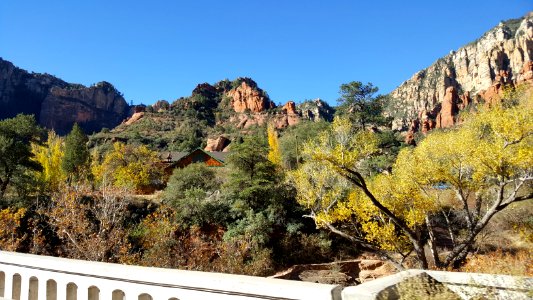Fall Color in Oak Creek Canyon (November 8, 2017)