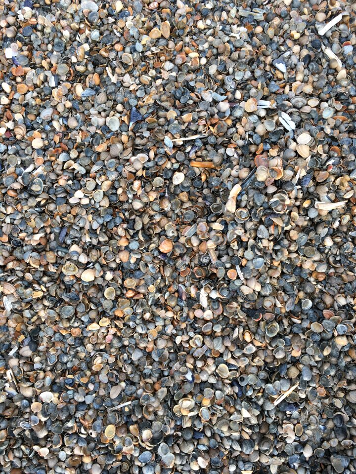 Beach coast close up