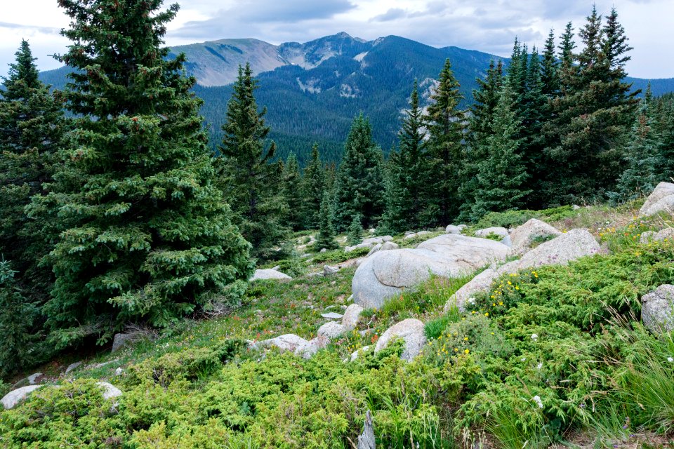 South of Santa Fe Baldy