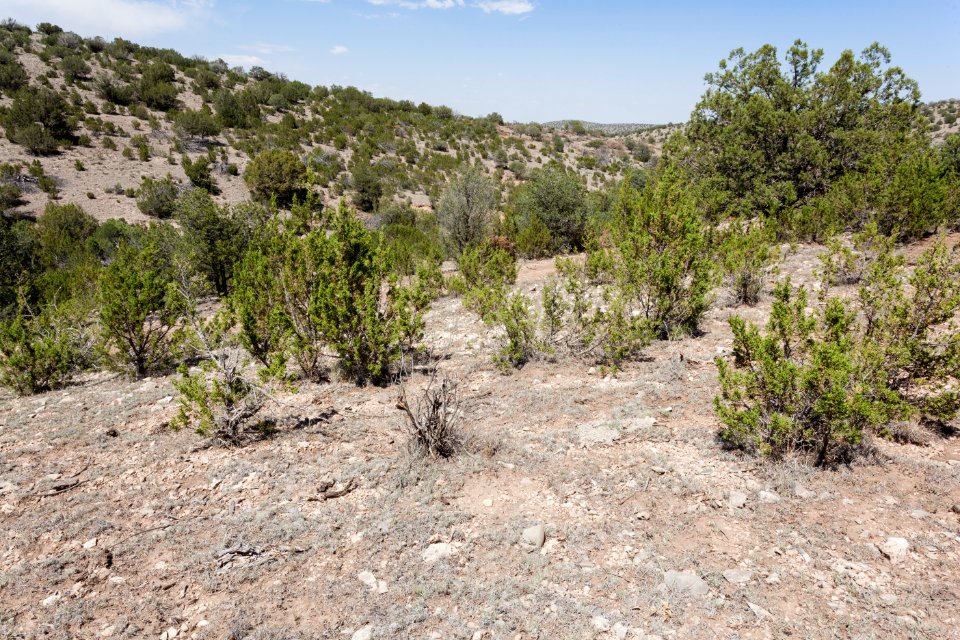 West-northwest of Russell Gap