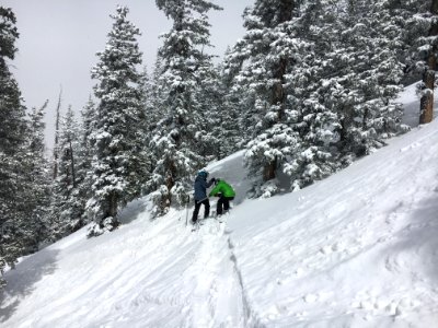 San Francisco Peaks Snow Survey