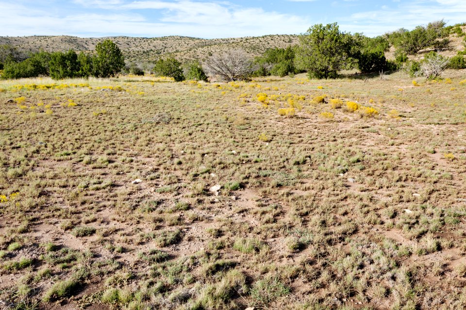 Southwest of Moccasin Draw