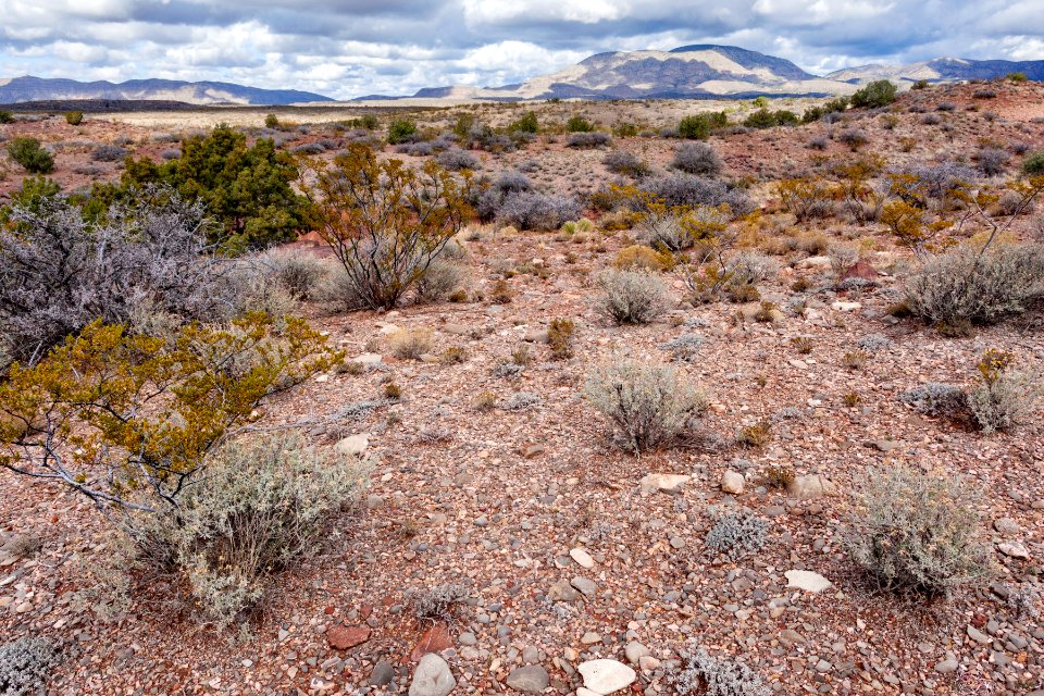 Northeast of Tularosa