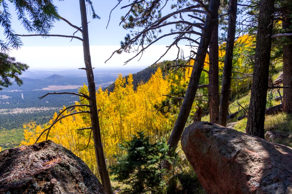 Sunset Trail No. 23