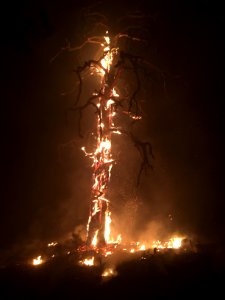 Jack Fire (June 10, 2016)