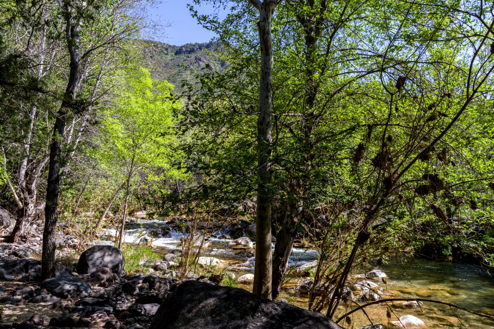 Homestead at Fossil Creek
