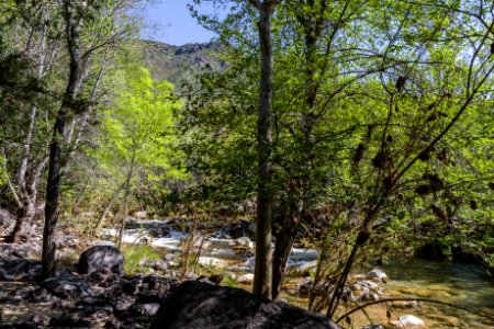 Homestead at Fossil Creek