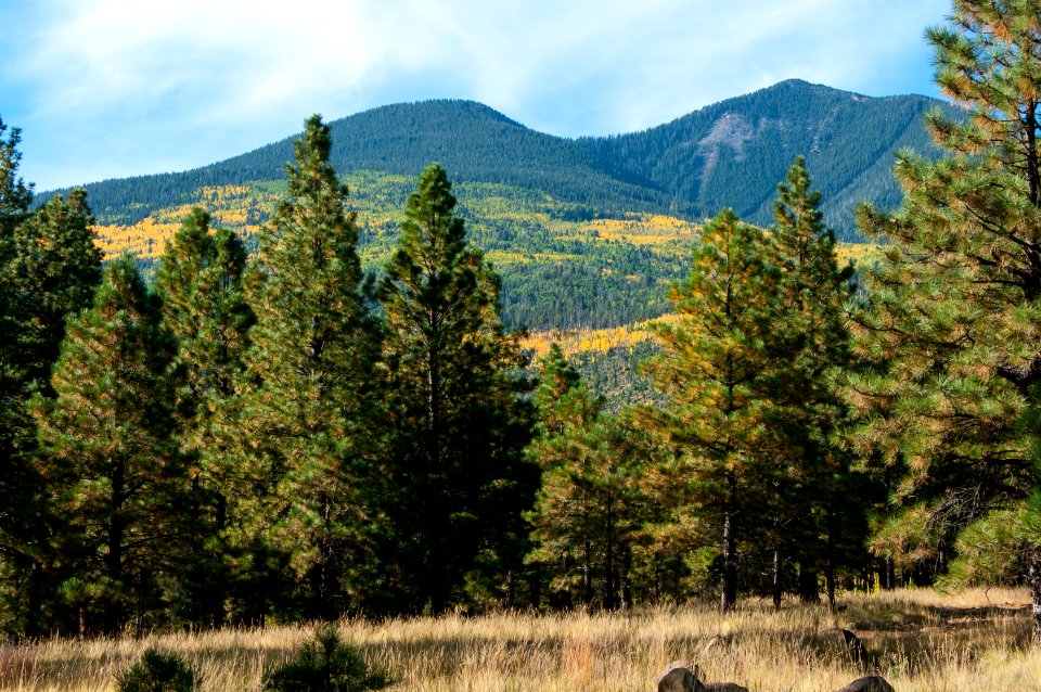Around the Peaks Loop: FR 418